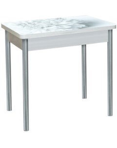 Стол обеденный Бронкс поворотно раскладной с фотопечатью бетон белый цветы 018 опора круглая серебри Katrin