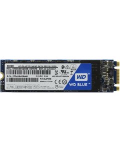 Накопитель SSD M 2 2280 WDS500G2B0B WD Blue 500GB TLC SATA 6Gb s 560 530MB s IOPS 95K 81K MTTF 1 75M Western digital