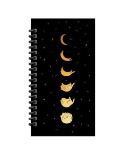 Записная книжка Black cat 9 5 х 17 5 см 96 листов матовая ламинация тиснение фольгой Meshu