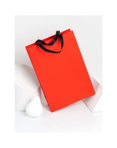 Пакет подарочный красный А4 23 х 33 х 10 см Symbol