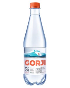 Вода минеральная лечебно столовая газированная 0 5 л Gorji