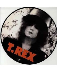 T Rex The Slider Picture Vinyl Abraxas records