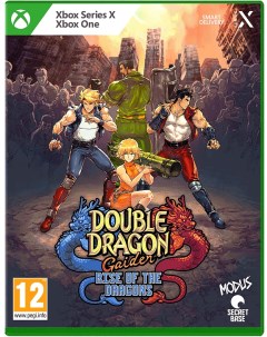 Игра Double Dragon Gaiden Rise of the Dragons Xbox One X полностью на иностранном языке Modus games