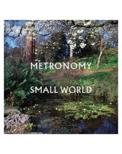 METRONOMY Small World LP Медиа