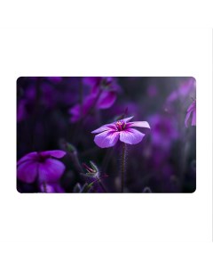 Игровой коврик для мыши Природа Фиолетовый цветок Coolpodarok