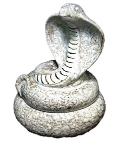 Шкатулка для украшений Змея 17 см 107 094 Lenardi