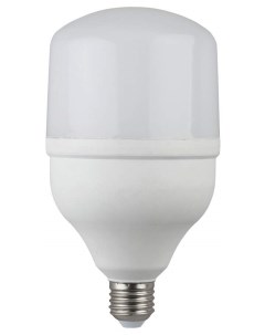 Лампа светодиодная ЭРА E27 30W 6500K арт 635145 5 шт Era