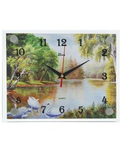 Часы Часы настенные серия Природа Природа 20х26 см Рубин