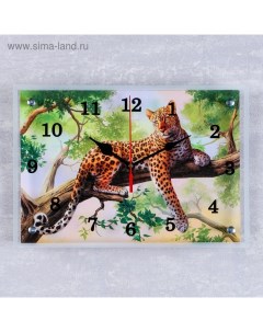 Часы настенные прямоугольные Леопард на ветке 25х35 см Сюжет