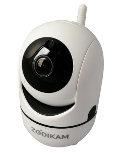 IP камера 801 White Zodikam