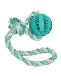 Игрушка для собак Мяч Dental с веревкой 7см резина Nobby