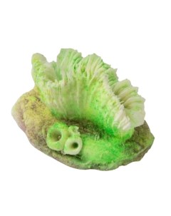 Коралл для аквариума Гониопора зеленая 7х5х4 см Grotaqua