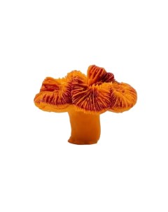 Коралл для аквариума лилия акрил оранжевый 7х7х5 см Grotaqua
