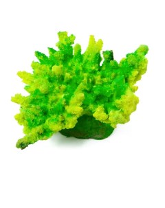 Коралл для аквариума корона салатовый 13х10х6 5 см Grotaqua