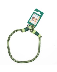 Ошейник удавка для собак Dog Vogue Rope зеленый ДЛ 75 см Ш 10 мм Аркон