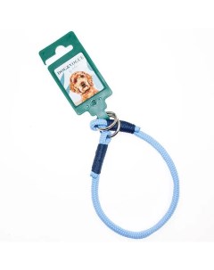 Ошейник удавка для собак Dog Vogue Rope голубой ДЛ 37 см Ш 6 мм Аркон