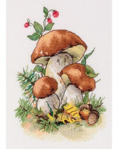 Набор для вышивания 8 516 Белые грибы Klart