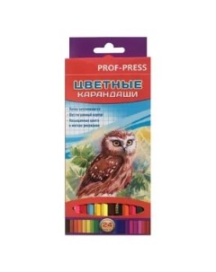 Карандаши цветные ProfPress наборгексагональныесовушка 24 цвета в картонной коробке Проф-пресс