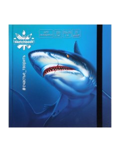 Скетчбук 20 х 20 см 20 листов Акварельная акула твёрдая обложка Миленд