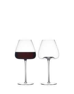 Набор из двух бокалов для вина Sheen Liberty jones
