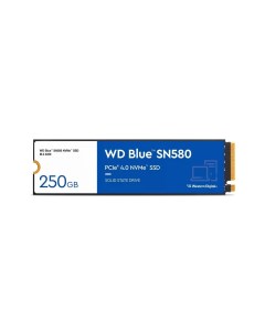 SSD накопитель Blue SN580 WDS100T3B0E Western digital