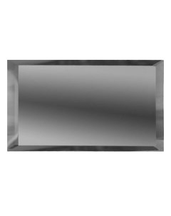 Плитка Зеркальная плитка Прямоугольник с фацетом 10 мм ПЗС1 02 12 х 48 см серебряный Дст