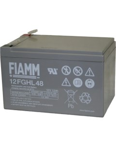 Аккумуляторная батарея 12FGHL48 Fiamm