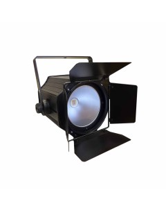 Театральный прожектор PL PAR 200W COB RGBWA UV 60 Proton lighting