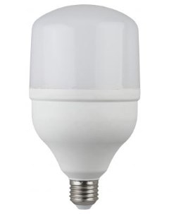 Лампа светодиодная LED smd POWER 20W 6500 E27 40 800 Era