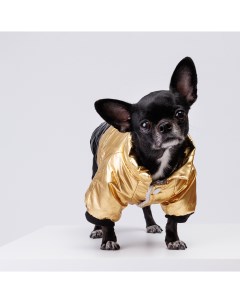 Куртка для собак S золотая Rurri