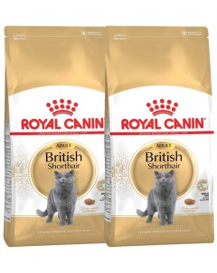 Сухой корм для кошек British Shorthair Adult для британских 2 шт по 2 кг Royal canin