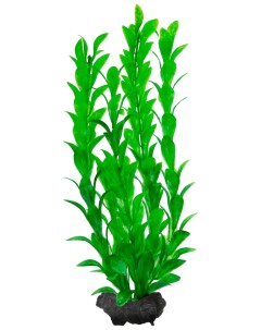 Искусственное растение для аквариума Hygrophila M зеленые листики 23 см Tetra