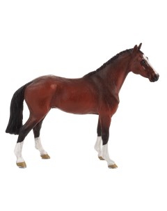 Голландская теплокровная лошадь Konik