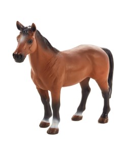 Тракененская лошадь Konik