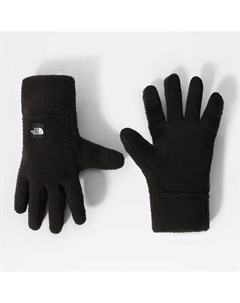 Мужские перчатки Мужские перчатки Fleeski Etip Glove The north face