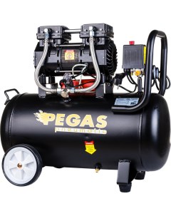 Бесшумный безмасляный компрессор Pegas pneumatic