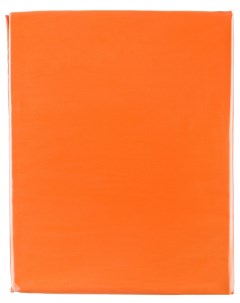 Простыня 985 554 цвет Оранжевый 240x240 Santalino