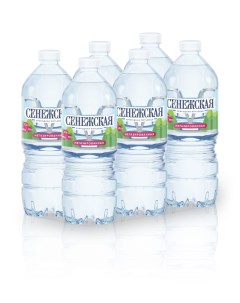 Вода природная питьевая негазированная 1 л 6 штук в упаковке Сенежская