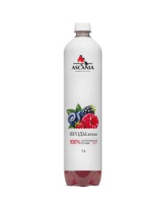 Газированный напиток Лесные ягоды 1 л х 6 шт Ascania