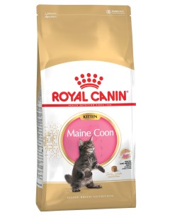 Сухой корм для котят Maine Coon Kitten 2 кг Royal canin