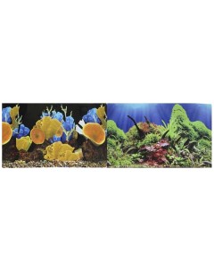 Фон для аквариума Морские кораллы Подводный мир винил 60x30 см Prime