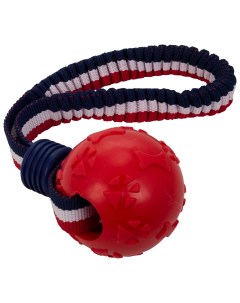 Игрушка для собак Мяч на резинке красный 6 см Marli