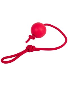 Игрушка для собак Strong Мяч на веревке в ассортименте 6 см Каскад