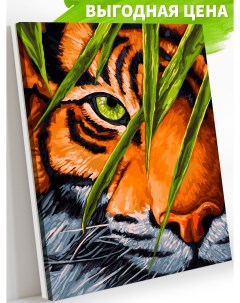 Картина по номерам на холсте Тигриный глаз AC002 40х50 Art on canvas