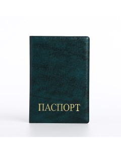 Обложка для паспорта цвет зеленый Nobrand