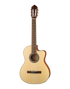 Гитара Электро акустическая PC110 WBAG OP классическая гитара с вырезом с футляром Parkwood