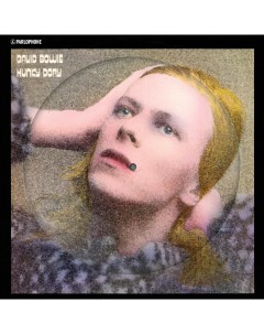 Поп David Bowie Hunky Dory 50th Anniversary Limited Picture Vinyl Wm
