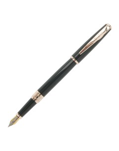 Ручка перьевая Secret Business PCA1060FP Black Pierre cardin