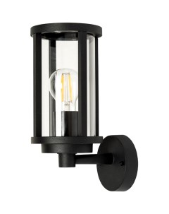 Настенный светильник Toronto A1036AL 1BK Прозрачный Черный Arte lamp