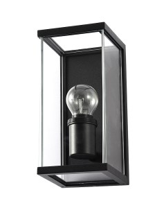 Настенный светильник Pot A1631AL 1BK Прозрачный Черный Arte lamp